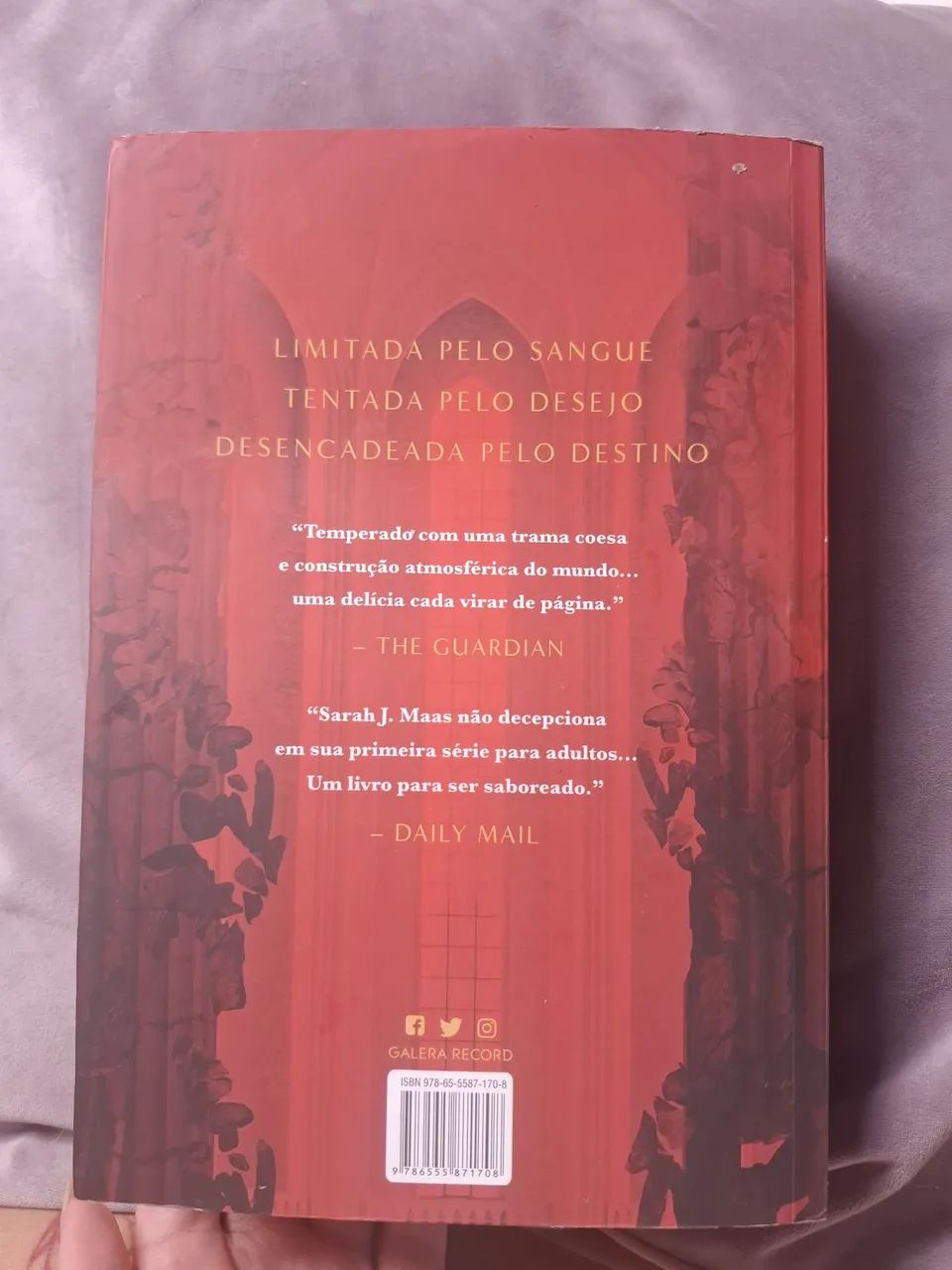 Livro Cidade da lua crescente - Foto 2
