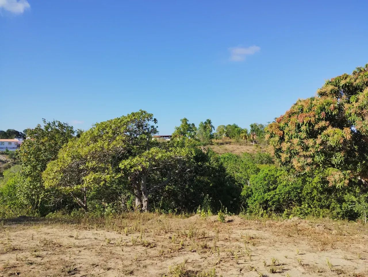 Ipioca, terreno chácara com 5 mil m2 - Foto 4
