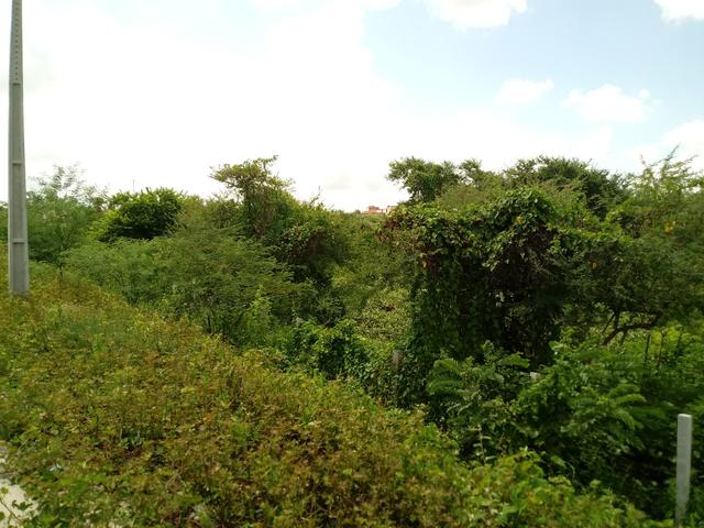 Vendo Terreno No Juazeiro do Norte! - Foto 6