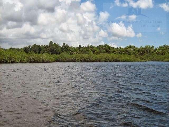 Fazenda para venda em camamu, tapuía - Foto 2