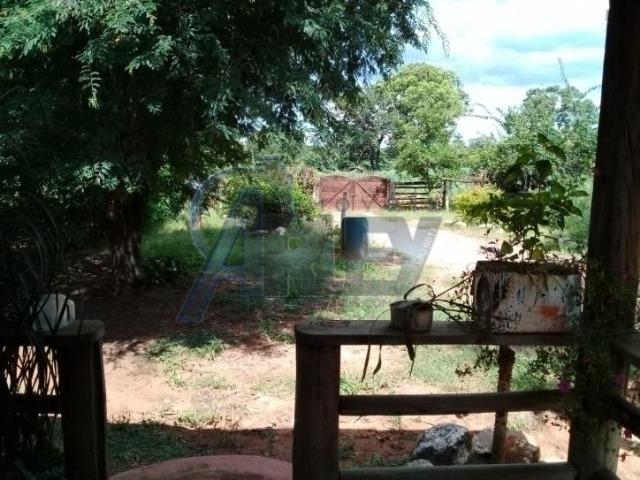 Fazenda/com um projeto que da valorização as terras - Foto 10