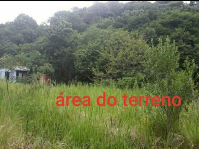 Terreno no paraíso - Foto 4