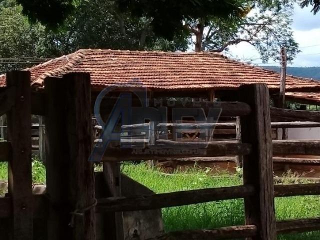 Fazenda/com um projeto que da valorização as terras - Foto 11