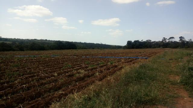 Fazenda na chapada diamantina - Foto 9