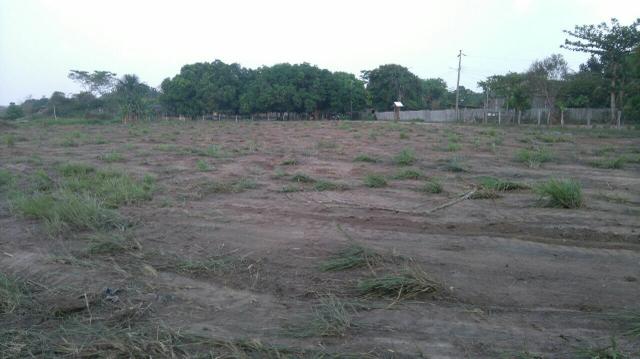 Lotes de terra - Foto 3