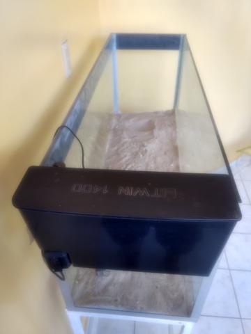 Aquário Completo Negociável - Foto 5