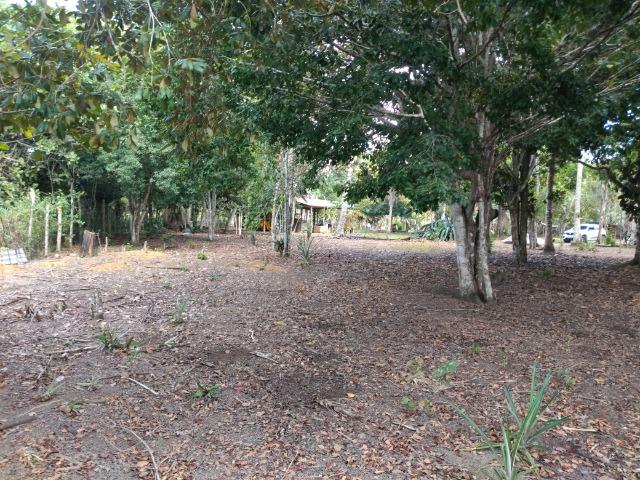 Sítio em Porto Seguro - Foto 12