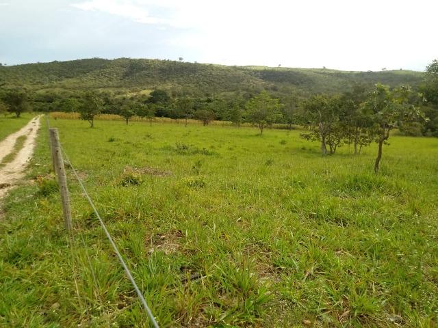 Fazenda 22 alqueires - Foto 12