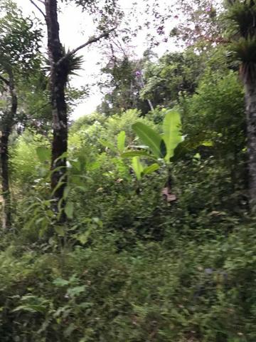 Oportunidade imperdível - Foto 6