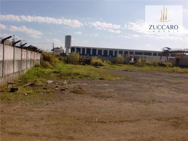 Terreno industrial para locação, vila nova bonsucesso, guarulhos - te0408. - Foto 5