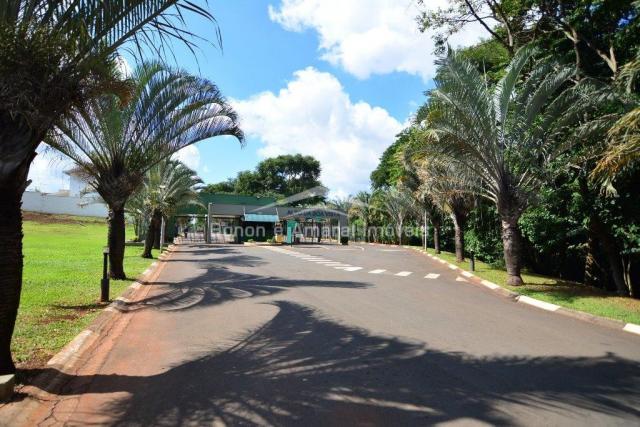 Terreno à venda em Jardim fortaleza, Paulínia cod:TE009855 - Foto 12