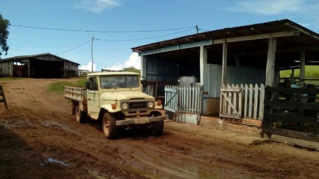 Fazenda em rio branco mt - Foto 10