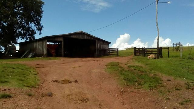 Fazenda em rio branco mt - Foto 11