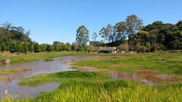Sítio 4 Hectares - Casa de 3 Quartos - 5 Açudes - Galpão - São Sebastião - Treze de Maio - Foto 5