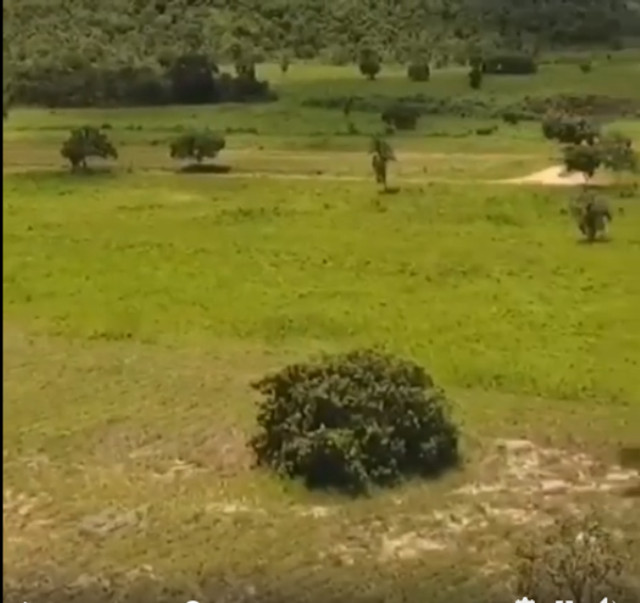 2.400 Alqs Estudo Parte Em Permutas São Salvador TO - Foto 18
