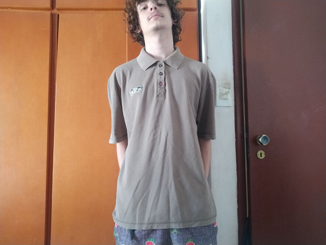 camisa polo vans