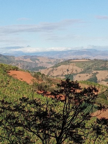 Vendo Excelente Terreno 35 hectares em Maria da Fé Sul de Minas Gerais - Foto 10