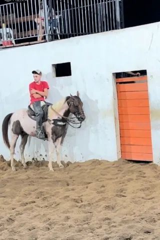 Cavalo de esteira - Cavalos e acessórios - Boca da Mata 1256655255