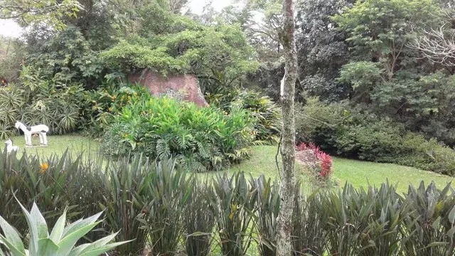 Sítio : / Rural / Centro