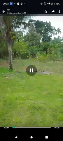  Fazenda - Foto 4