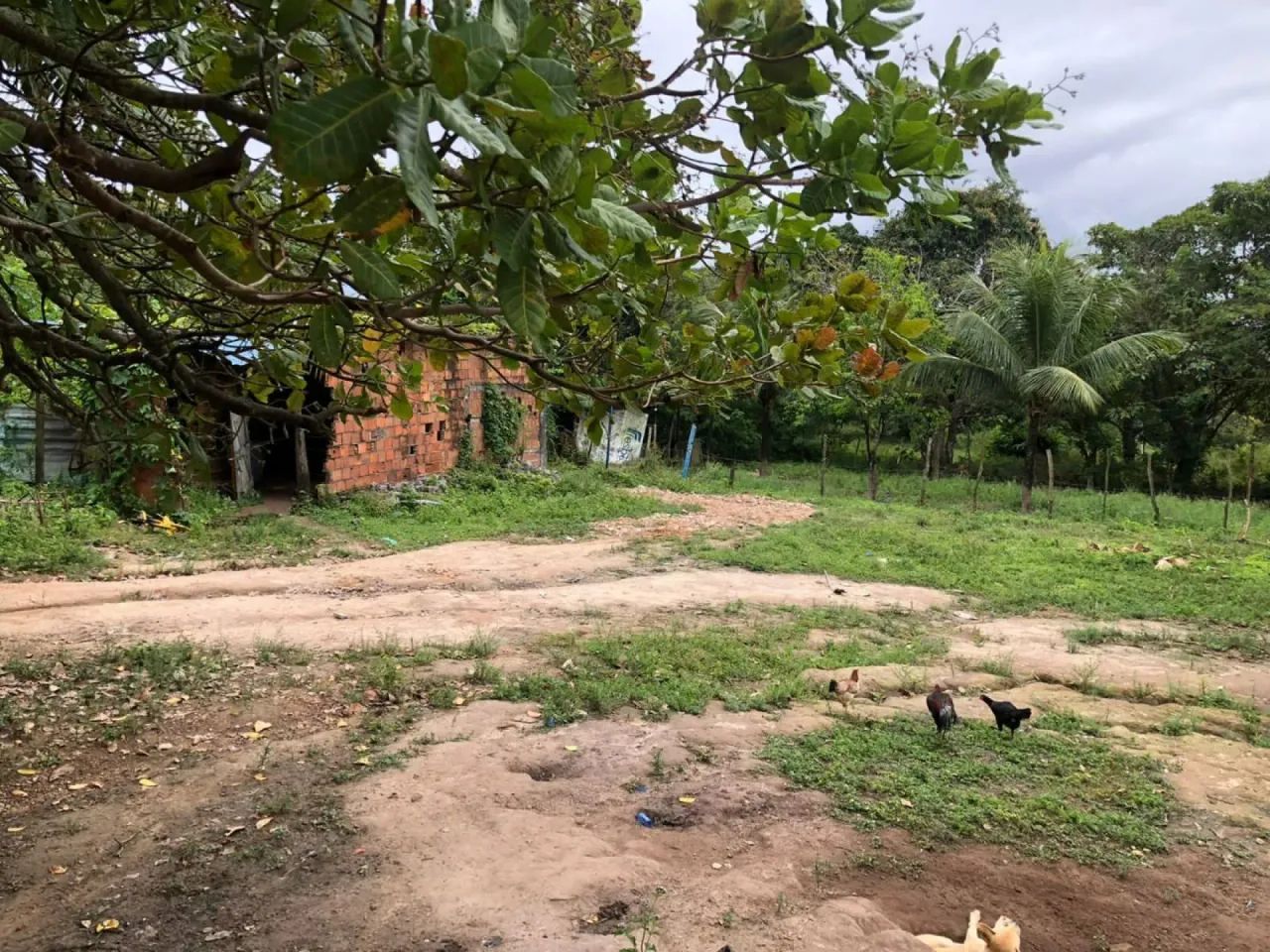 # Lote de terreno no Socorro 68026 - Foto 2