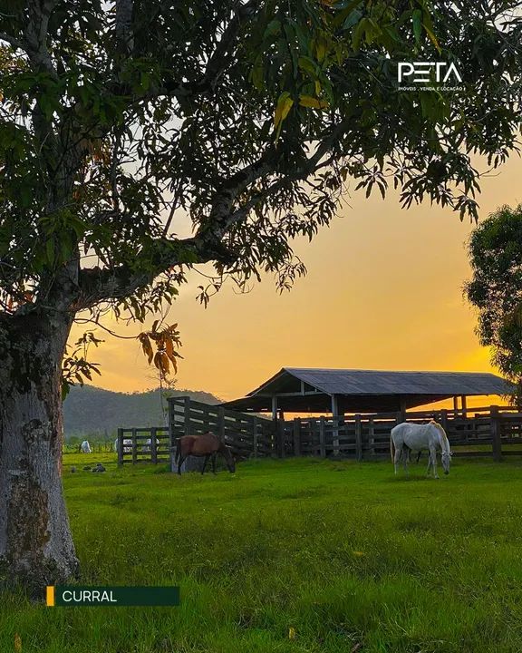 Fazenda Financiável | Psicultura | Pecuária | Vicinal 2 - Cantá  - Foto 3