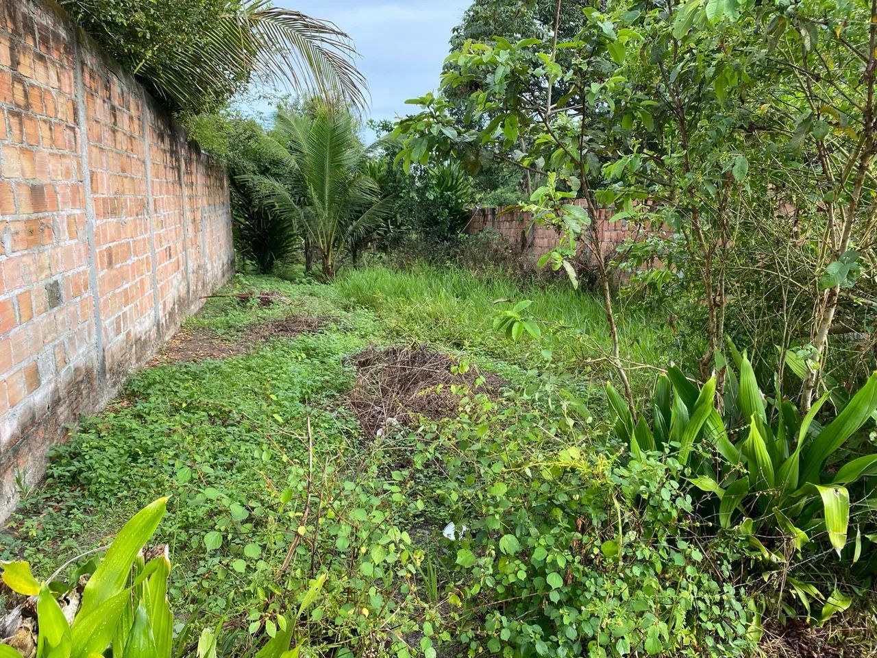 Terreno no entroncamento, loteamento joão do leite Terrenos, sítios e
