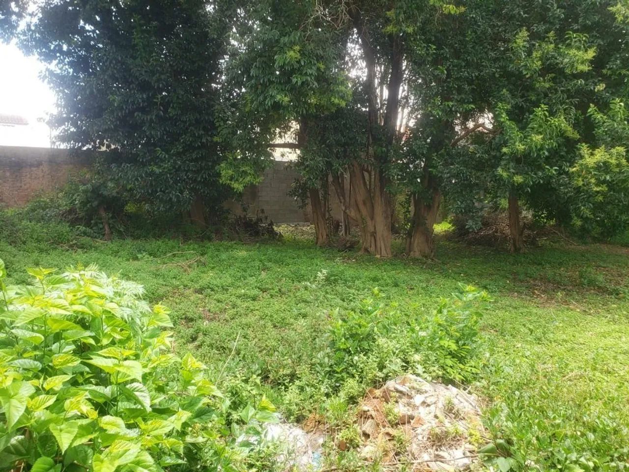 Terreno à venda em Presidente Altino, Osasco - Ótima localização e infraestrutura! - Foto 8