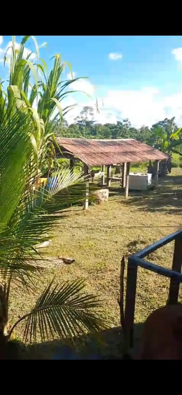 Vendo ou troco chácara por casa no Mocinha Magalhães zap *