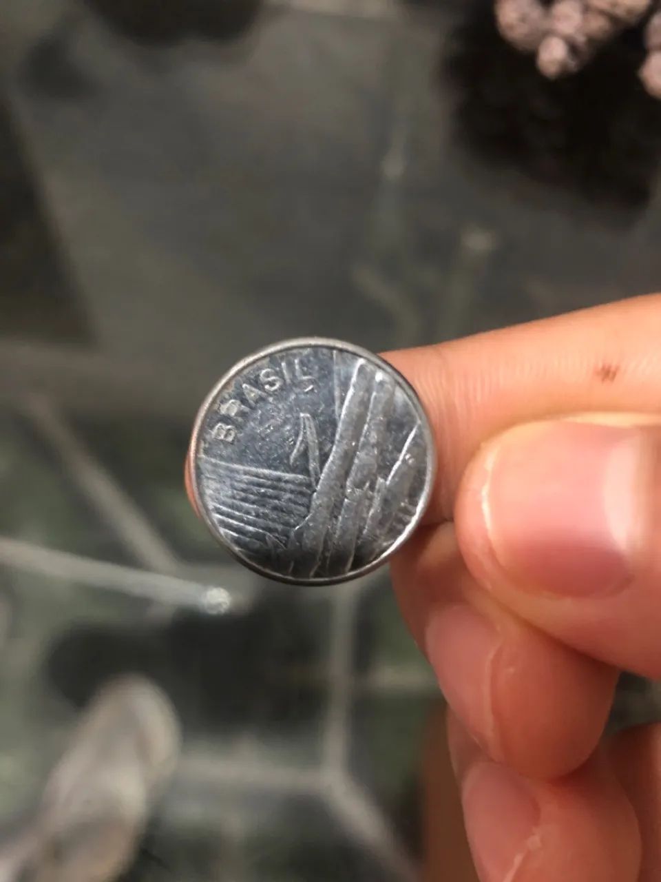 1 Cruzeiro 1981, Cana de açúcar.  - Foto 2