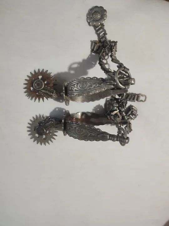 Alpacca erbele 63 espora 