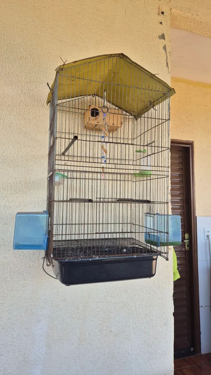 Gaiola grande e completa