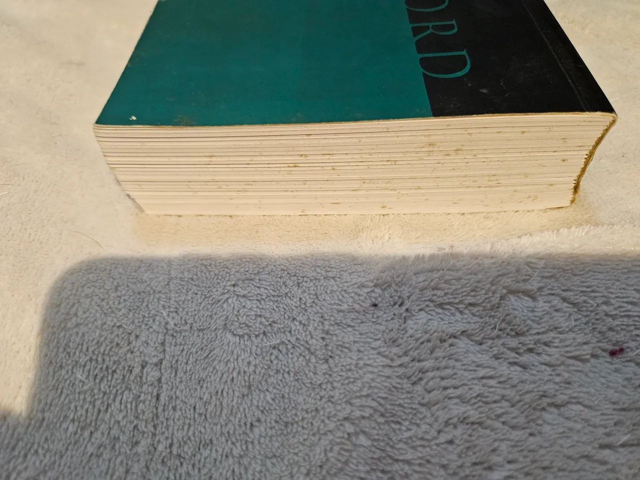 Dicionário Inglês para Português - Password - Foto 4