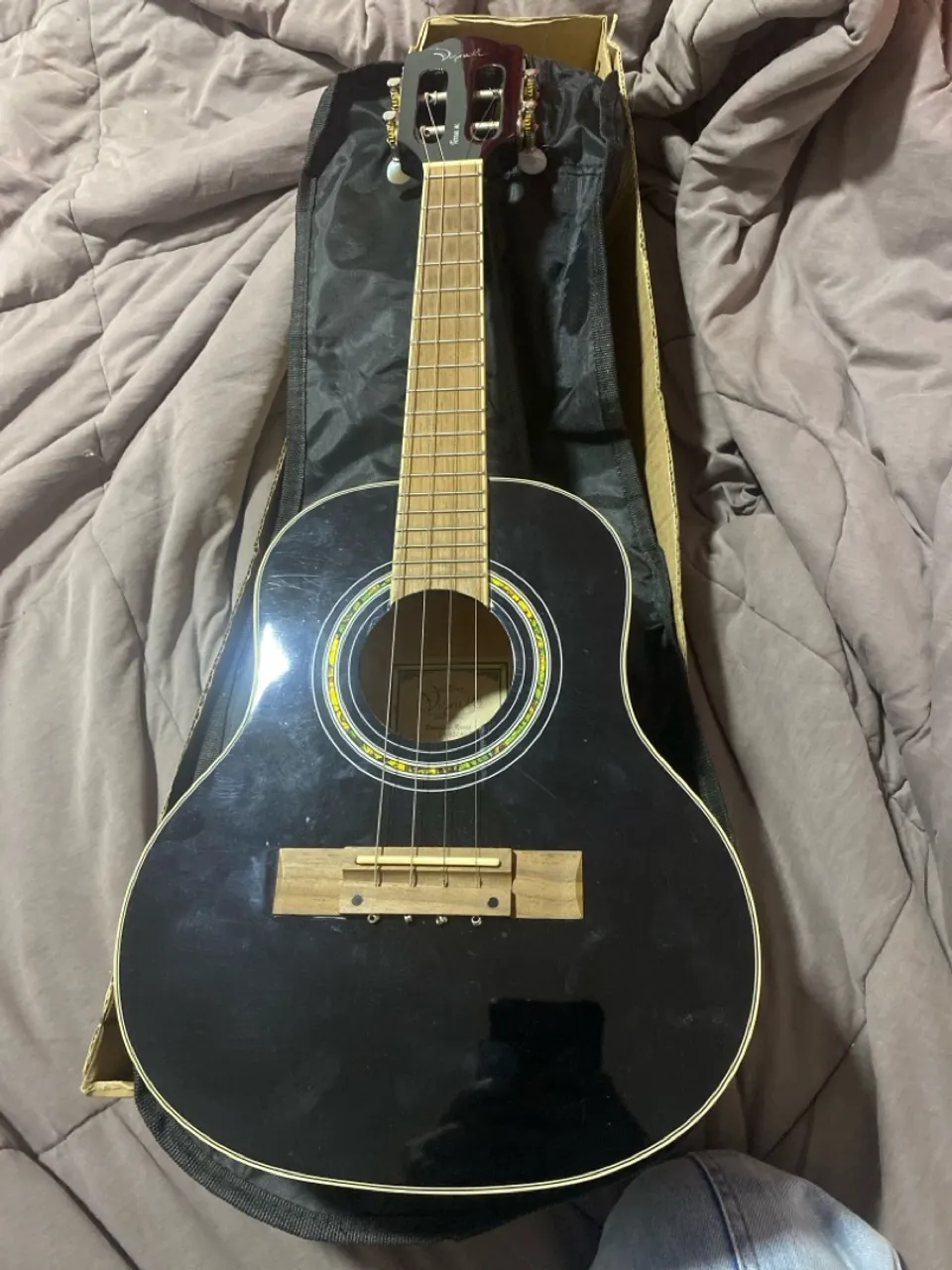 Cavaquinho Vignoli com capa