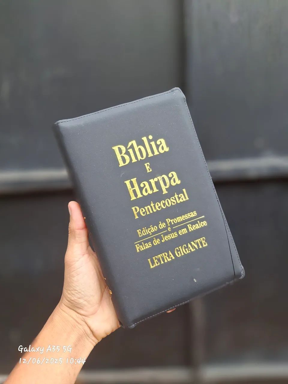 Pentecostal Bible and Harp