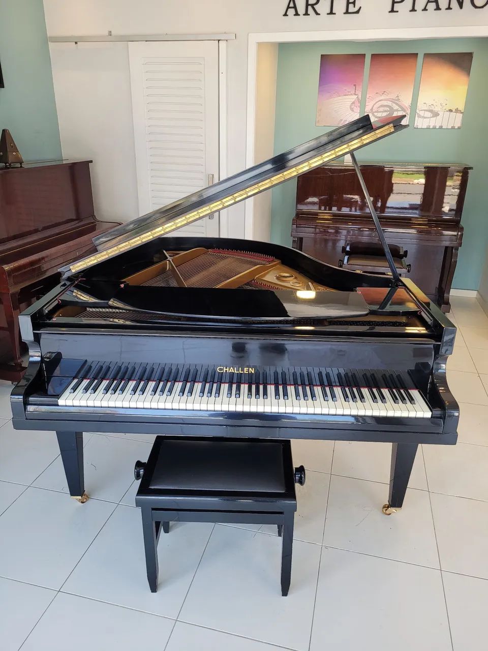 Piano Cauda Challen - Arte Pianos  - Foto 3