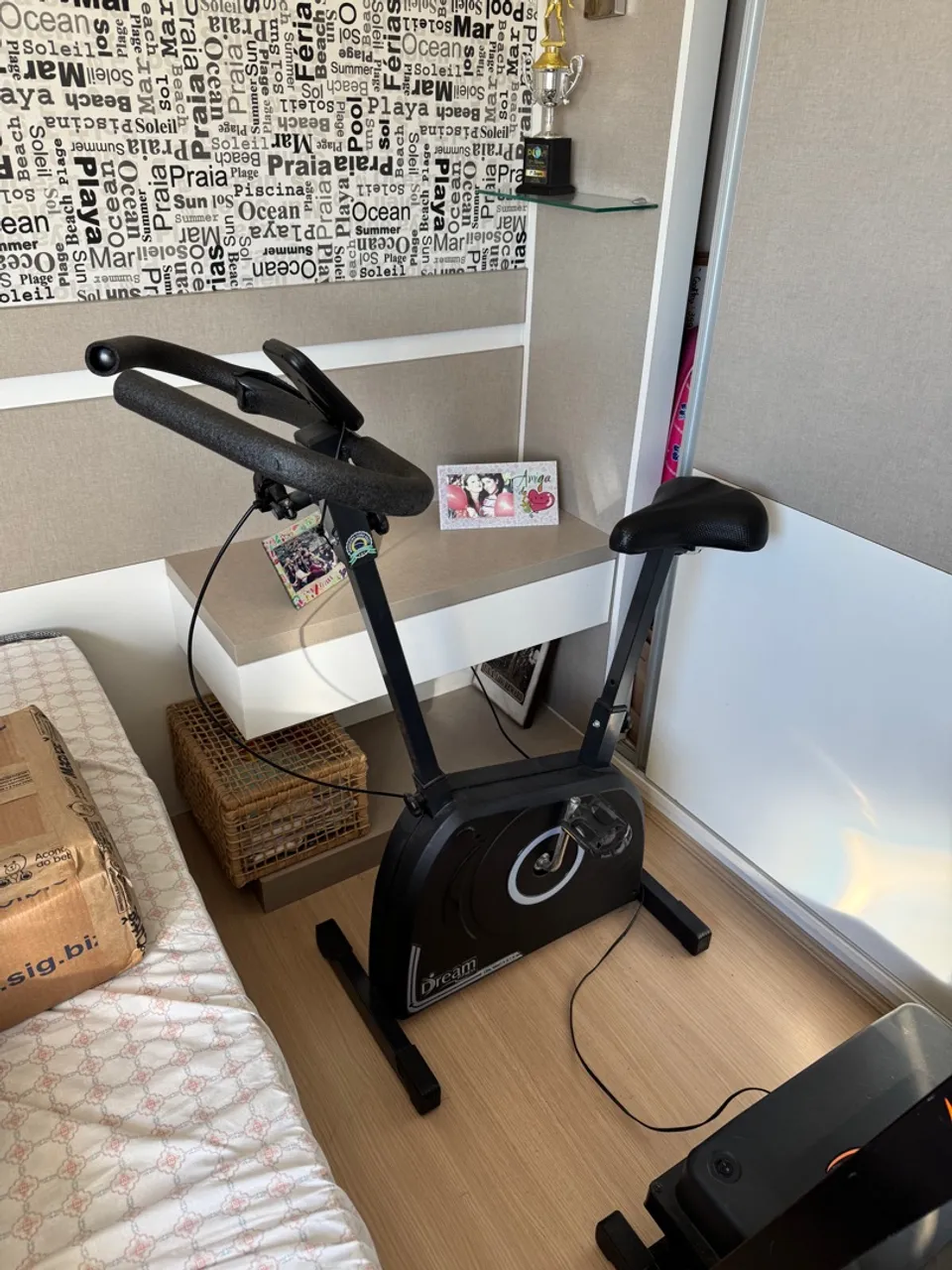 Bicicleta ergométrica