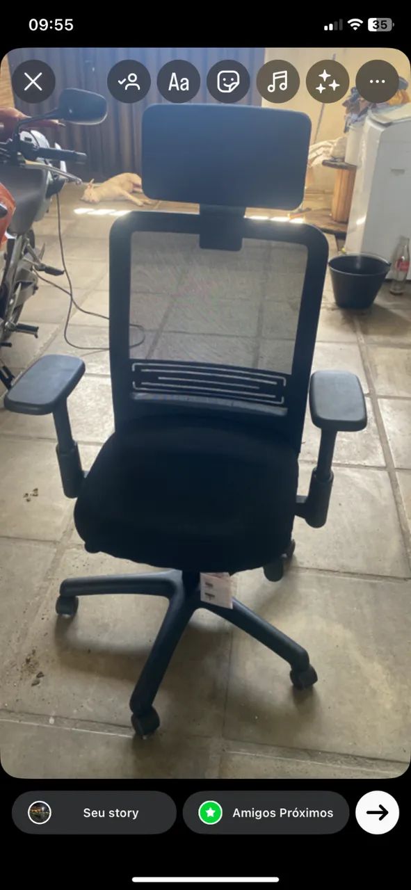 Cadeira de escritório da Flexform