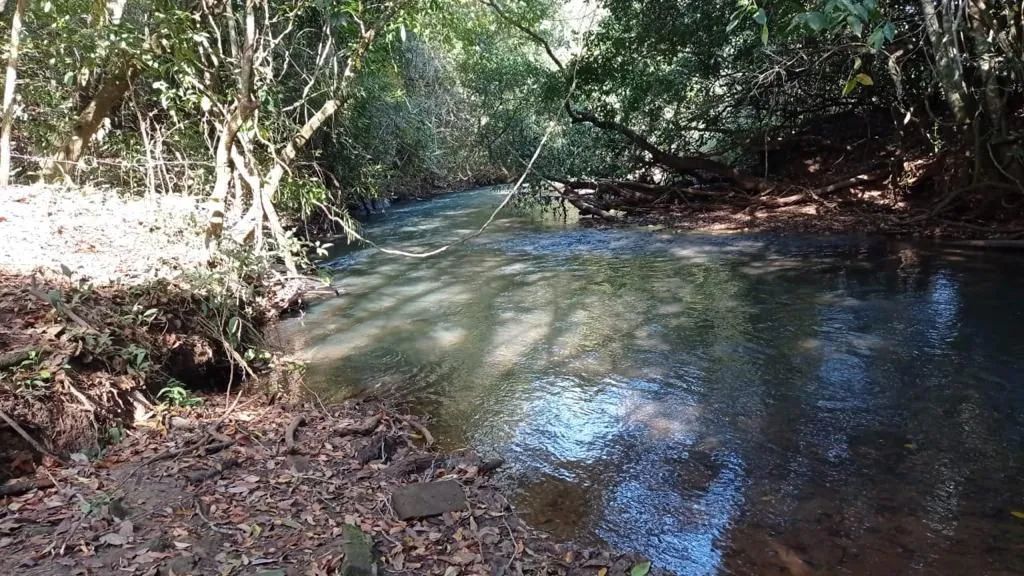 Fazendinha boa em faina  - Foto 2