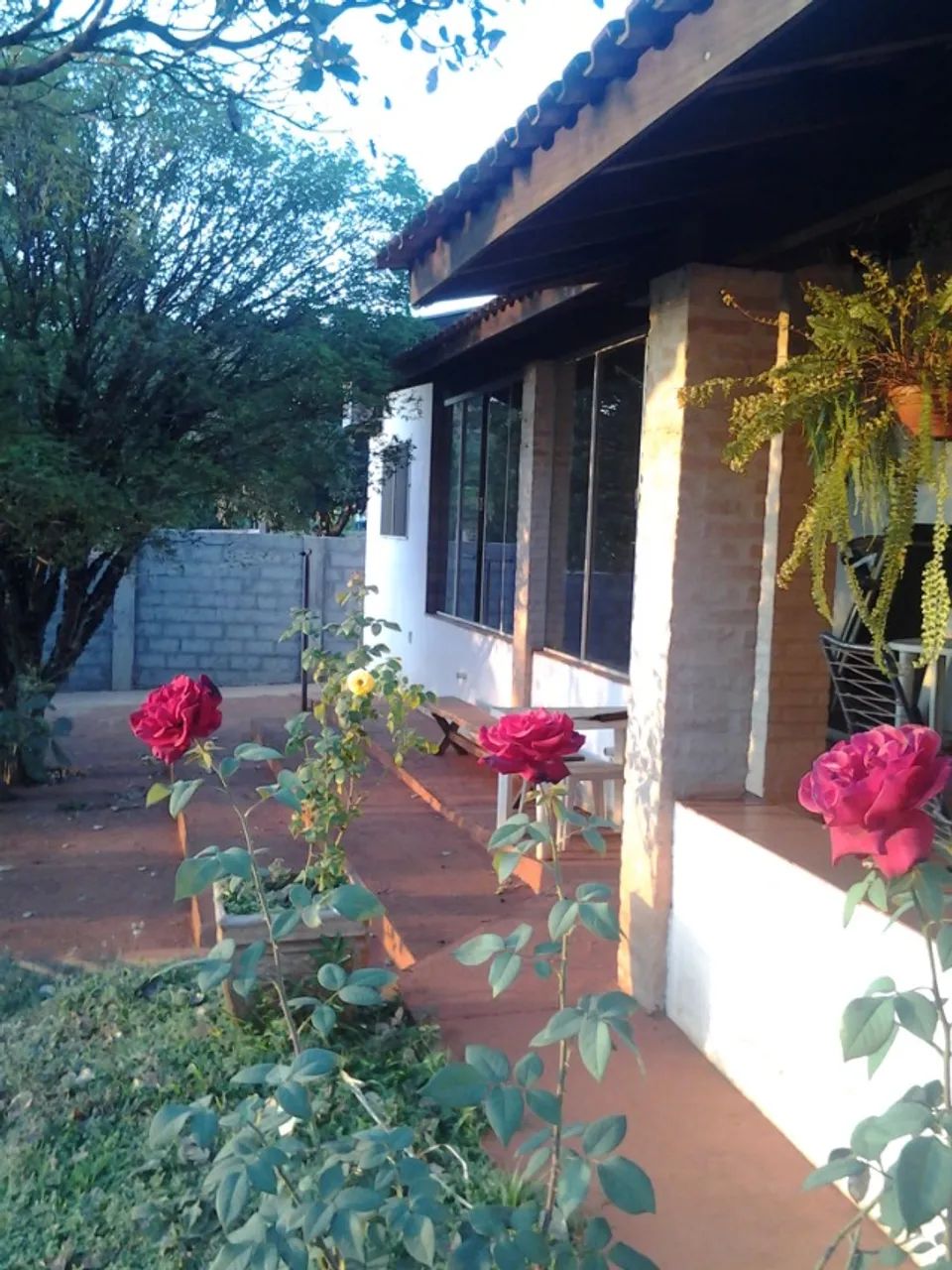 Foto - Jardinópolis - 