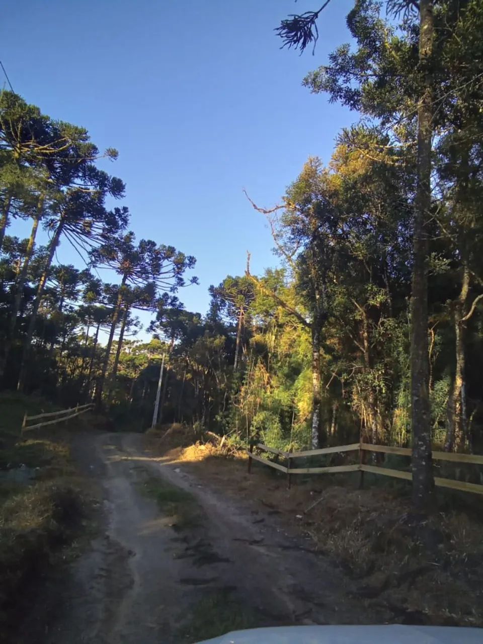 Sítios Rio Rufino SC - Foto 3