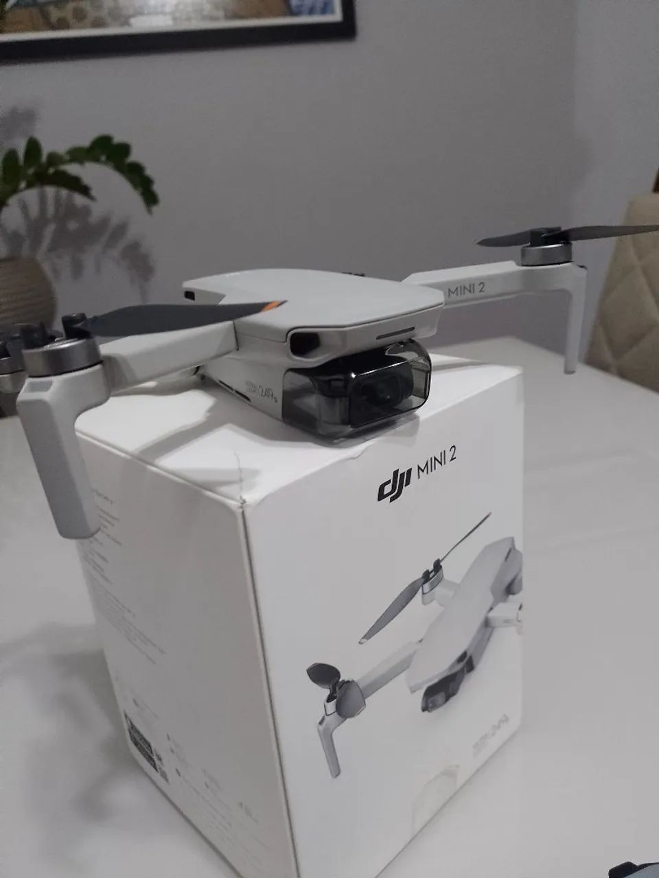 Drone DJI Mini 264318619412867120