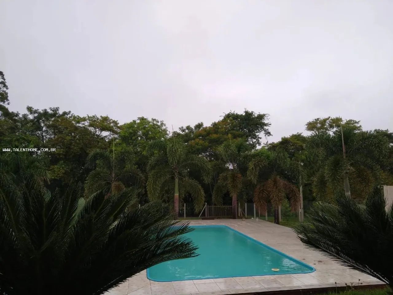 Área Rural para Venda em Alvorada do Sul, RURAL - Foto 3