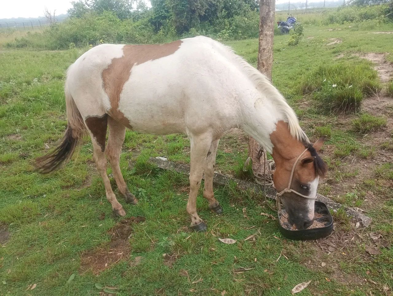 Só vendas  - Foto 2
