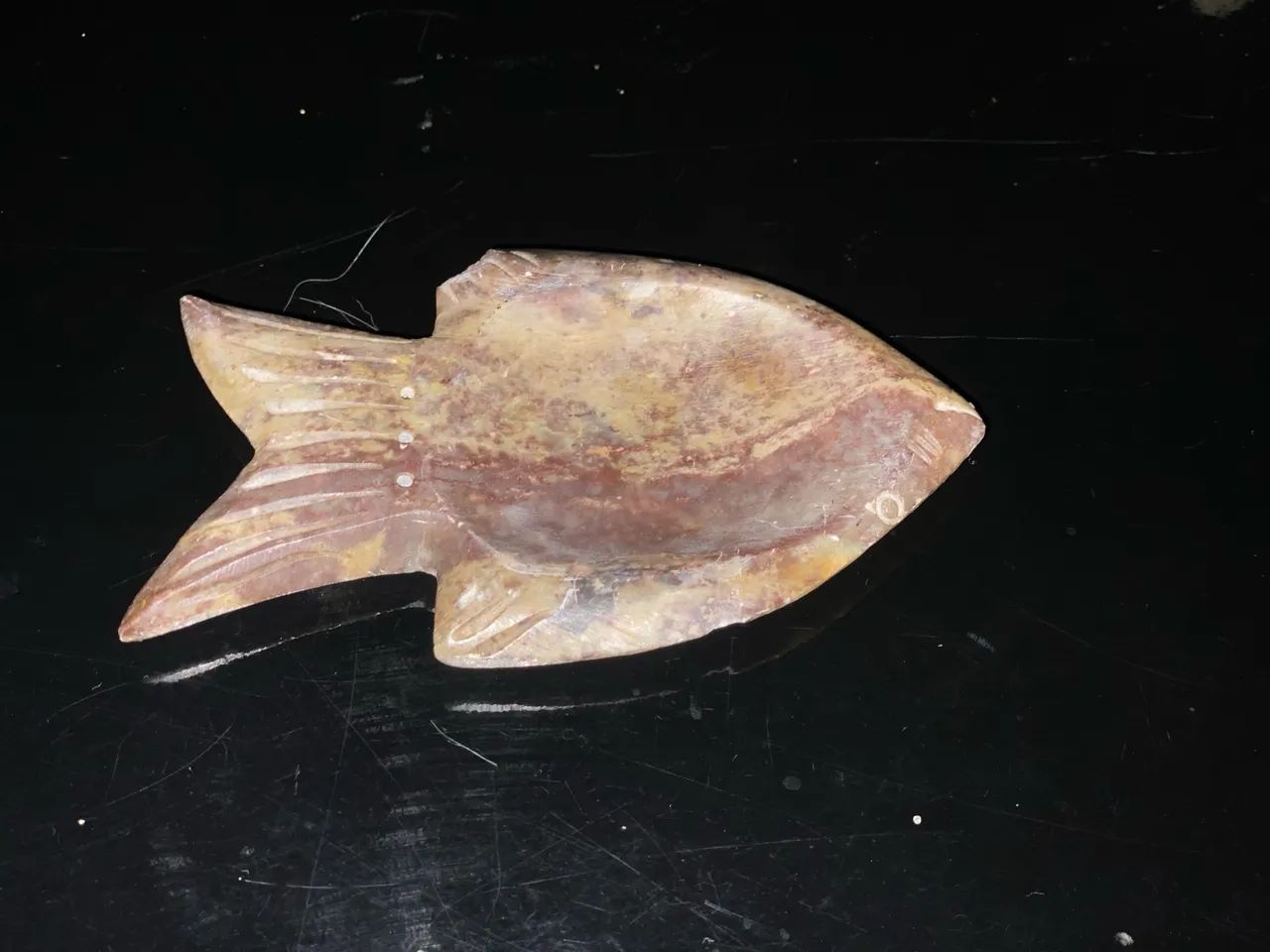 Concha do mar e peixe pedra sabão  - Foto 2