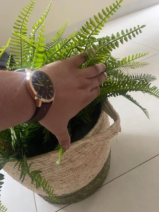 Planta Samambaia em vaso de fibra natural - Foto 2