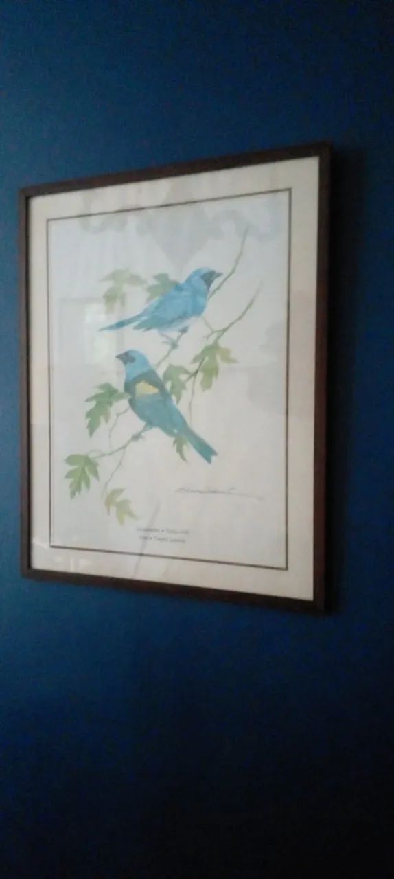 Quadro par de andorinhas - Foto 4