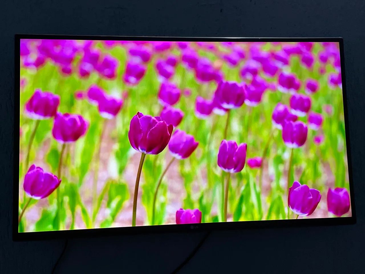 TV LG 43 POLEGADAS SMART64573375330818121