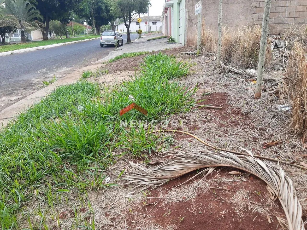 Lote em Avenida das Gameleiras - Jaraguá - Uberlândia/MG - Foto 2