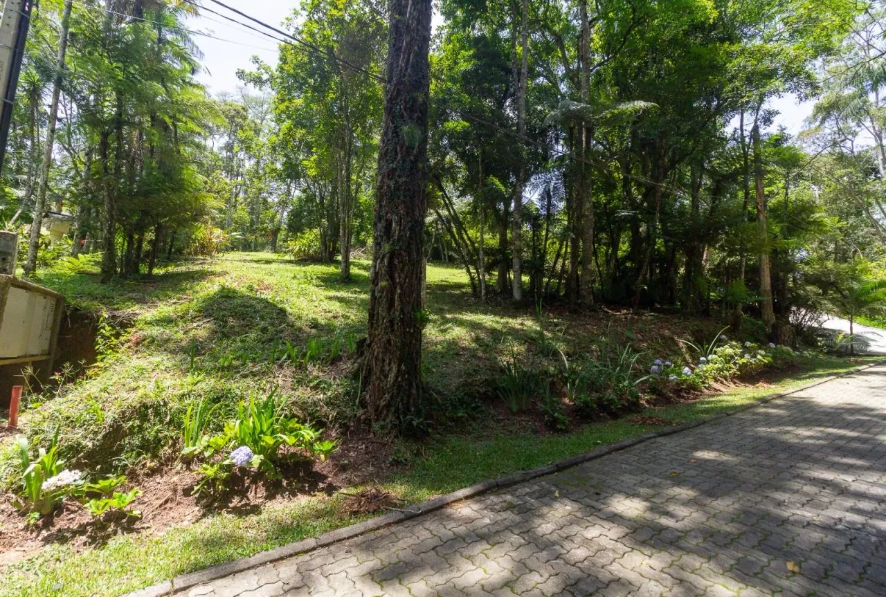 Casa de condomínio para venda tem 2900 metros quadrados